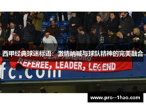 西甲经典球迷标语:激情呐喊与球队精神的完美融合 西甲经典球迷标语:激情呐喊与球队精神的完美融合