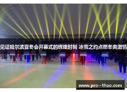 见证哈尔滨亚冬会开幕式的辉煌时刻 冰雪之约点燃冬奥激情