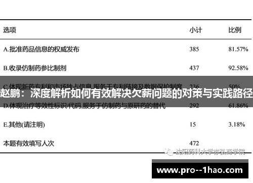 赵鹏:深度解析如何有效解决欠薪问题的对策与实践路径 赵鹏:深度解析如何有效解决欠薪问题的对策与实践路径