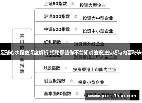 足球心水指数深度解析 揭秘那些你不曾知晓的投注技巧与内幕秘诀 足球心水指数深度解析 揭秘那些你不曾知晓的投注技巧与内幕秘诀