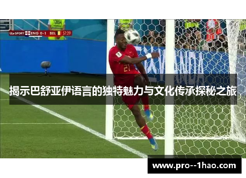 揭示巴舒亚伊语言的独特魅力与文化传承探秘之旅