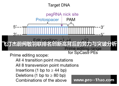 飞汀杰蔚阀敏羽联排名创新高背后的努力与突破分析