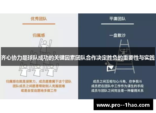 齐心协力是球队成功的关键因素团队合作决定胜负的重要性与实践