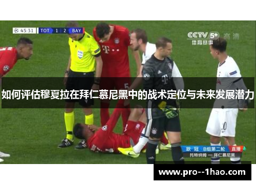 如何评估穆夏拉在拜仁慕尼黑中的战术定位与未来发展潜力