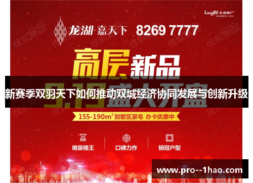 新赛季双羽天下如何推动双城经济协同发展与创新升级