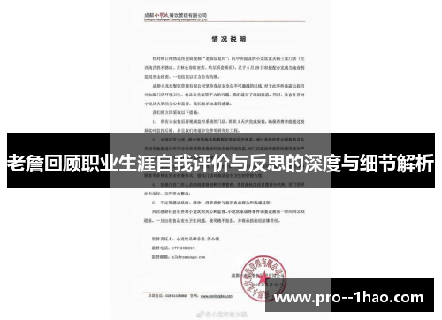 老詹回顾职业生涯自我评价与反思的深度与细节解析