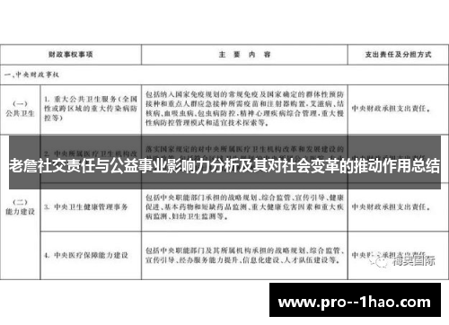 老詹社交责任与公益事业影响力分析及其对社会变革的推动作用总结