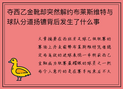 夺西乙金靴却突然解约布莱斯维特与球队分道扬镳背后发生了什么事