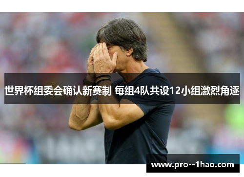 世界杯组委会确认新赛制 每组4队共设12小组激烈角逐 世界杯组委会确认新赛制 每组4队共设12小组激烈角逐