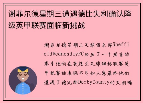 谢菲尔德星期三遭遇德比失利确认降级英甲联赛面临新挑战